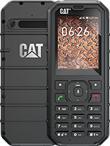 Cat B35 (Cat)