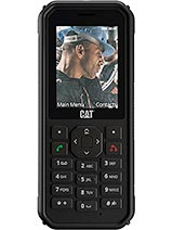 Cat B40 (Cat)